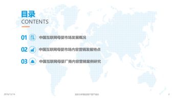 2016中国互联网母婴市场内容营销与销售融合专题分析